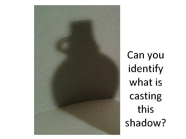 Can you identify what is casting this shadow? 