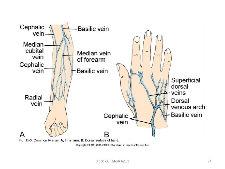 Block 7. 0 Module 1. 1 24 