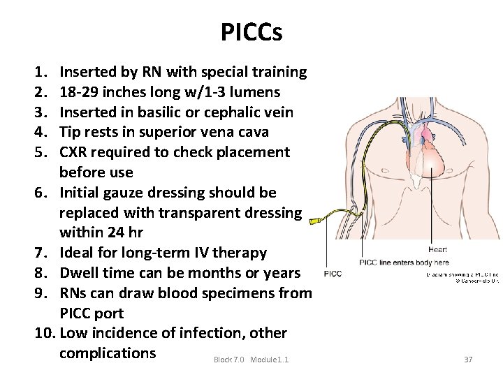 PICCs 1. 2. 3. 4. 5. Inserted by RN with special training 18 -29