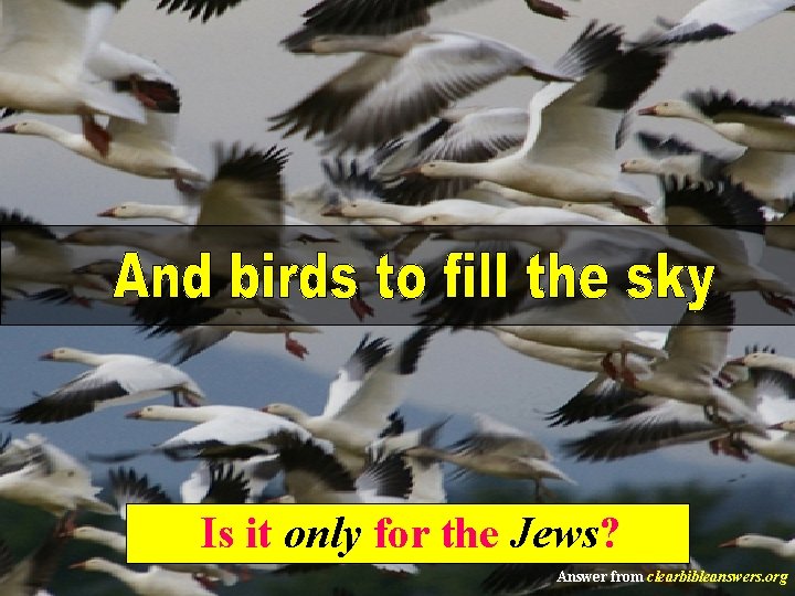 Is it only for the Jews? Answer from clearbibleanswers. org 