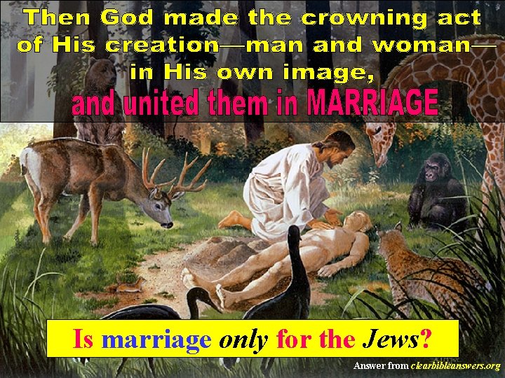 Is marriage only for the Jews? Answer from clearbibleanswers. org 
