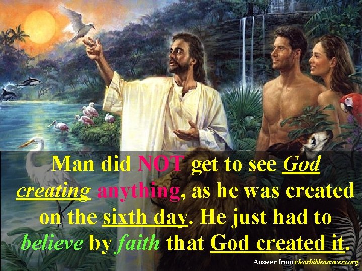 Man did NOT get to see God creating anything, as he was created on