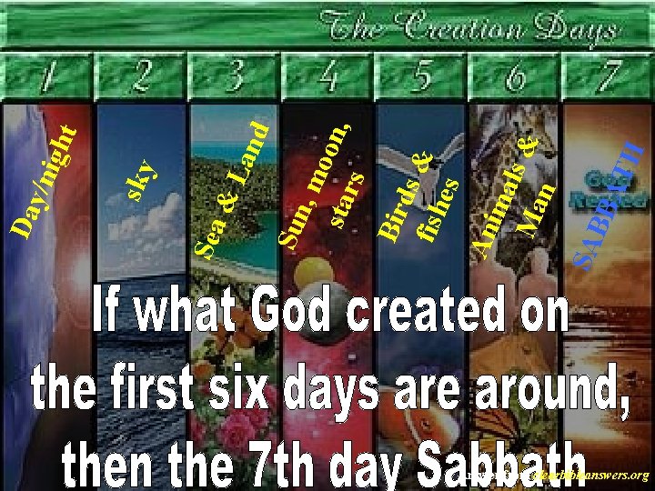 Answer from clearbibleanswers. org &L and sky t igh y/n Bir ds & fish