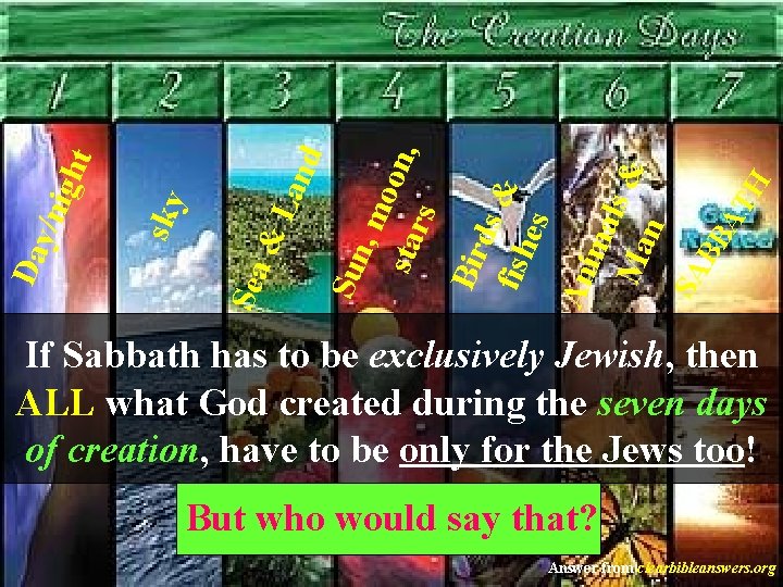 H AT BB Bir ds & fish es An ima l Ma s &