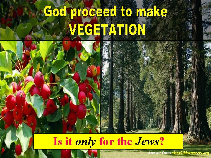 Is it only for the Jews? Answer from clearbibleanswers. org 