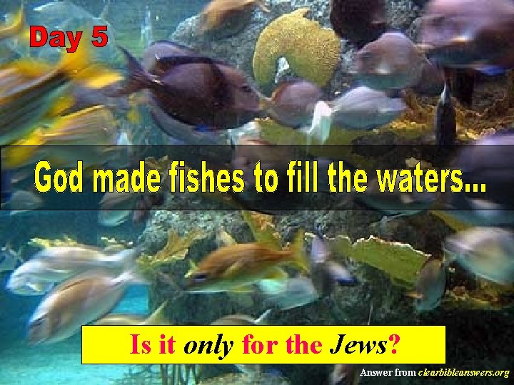 Is it only for the Jews? Answer from clearbibleanswers. org 