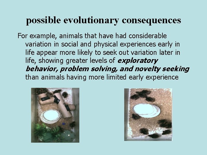 possible evolutionary consequences For example, animals that have had considerable variation in social and