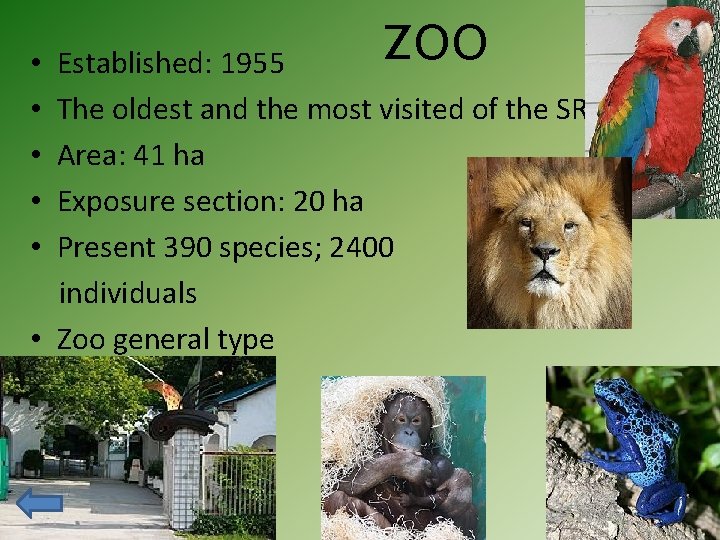 ZOO • Established: 1955 • The oldest and the most visited of the SR