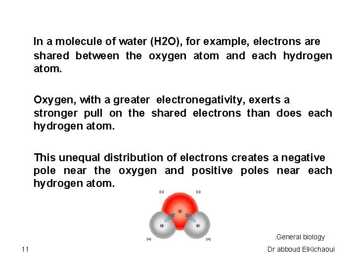 In a molecule of water (H 2 O), for example, electrons are shared between