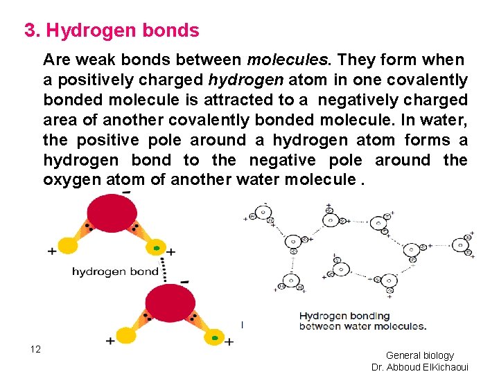 3. Hydrogen bonds Are weak bonds between molecules. They form when a positively charged