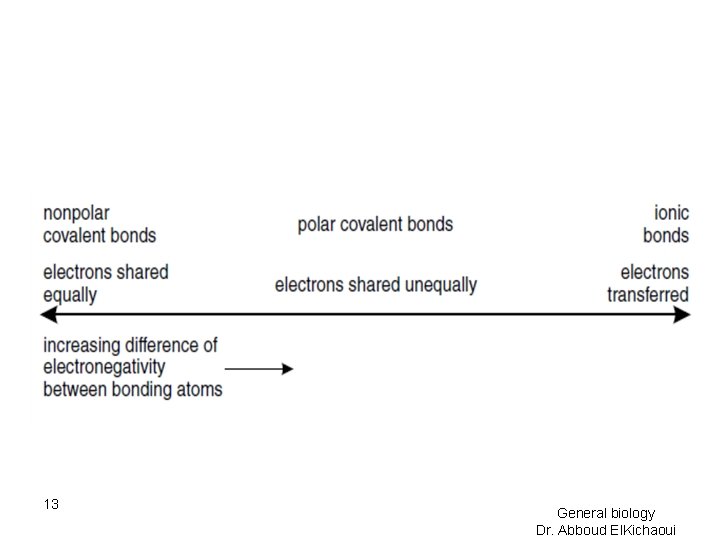 13 General biology Dr. Abboud El. Kichaoui 