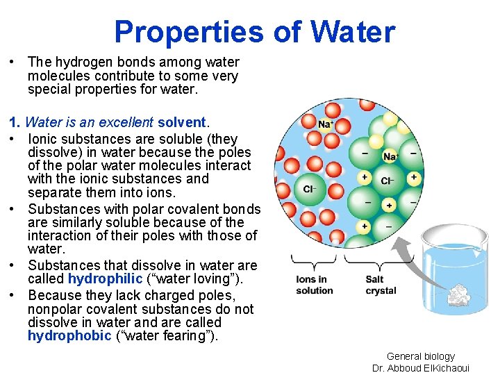 Properties of Water • The hydrogen bonds among water molecules contribute to some very