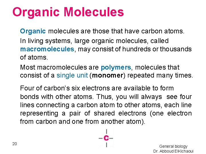 Organic Molecules Organic molecules are those that have carbon atoms. In living systems, large