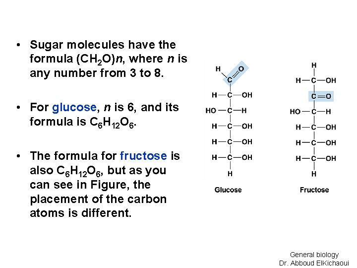  • Sugar molecules have the formula (CH 2 O)n, where n is any