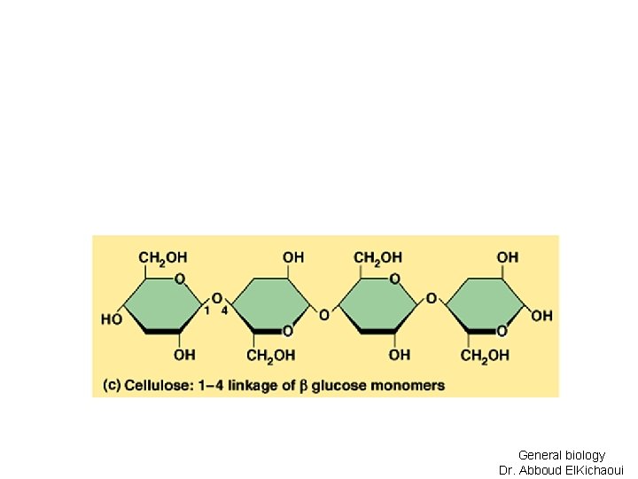 General biology Dr. Abboud El. Kichaoui 