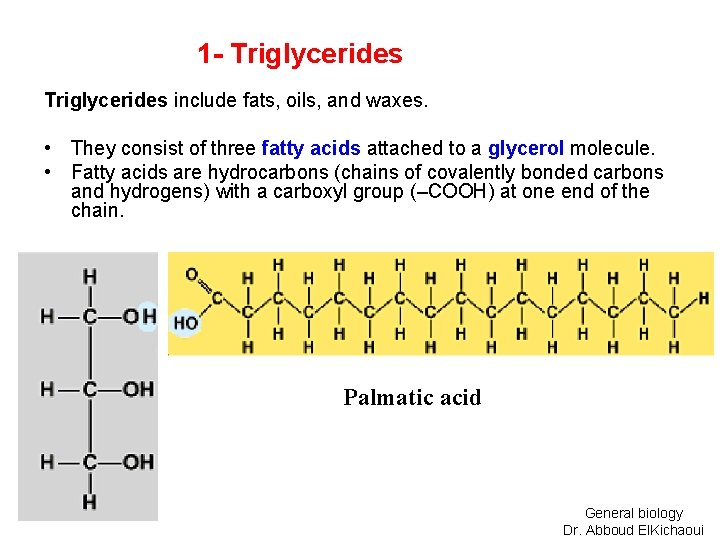 1 - Triglycerides include fats, oils, and waxes. • They consist of three fatty