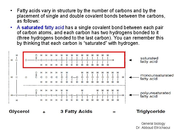  • Fatty acids vary in structure by the number of carbons and by