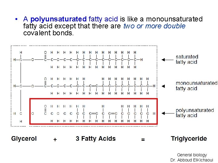  • A polyunsaturated fatty acid is like a monounsaturated fatty acid except that