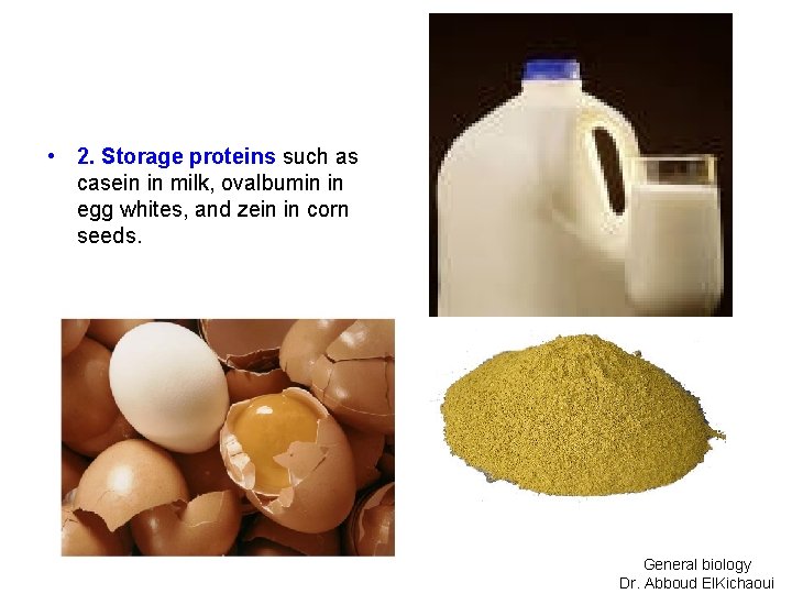  • 2. Storage proteins such as casein in milk, ovalbumin in egg whites,