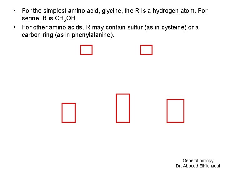  • For the simplest amino acid, glycine, the R is a hydrogen atom.