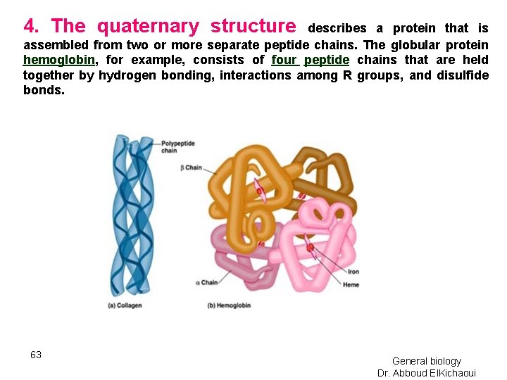 4. The quaternary structure describes a protein that is assembled from two or more