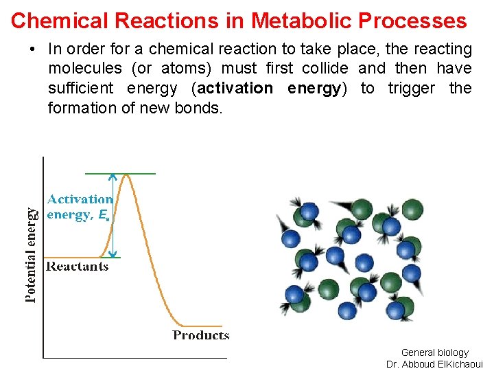 Chemical Reactions in Metabolic Processes • In order for a chemical reaction to take