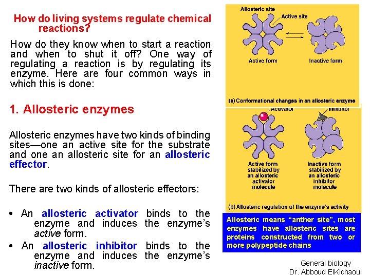 How do living systems regulate chemical reactions? How do they know when to start