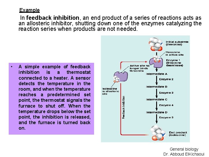 Example In feedback inhibition, an end product of a series of reactions acts as