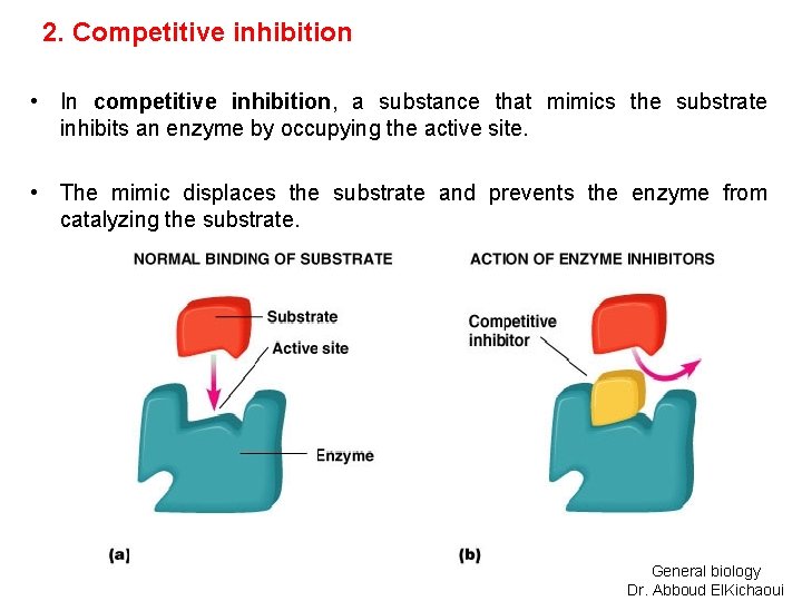 2. Competitive inhibition • In competitive inhibition, a substance that mimics the substrate inhibits