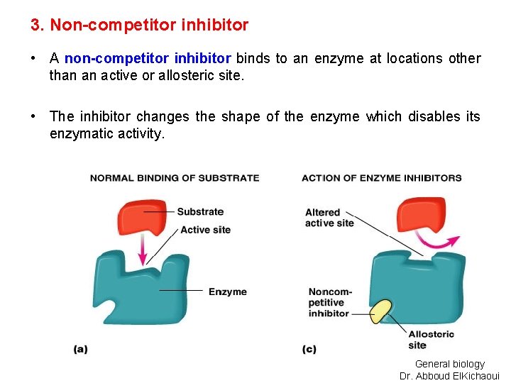 3. Non-competitor inhibitor • A non-competitor inhibitor binds to an enzyme at locations other