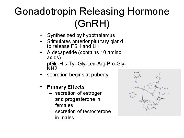 Gonadotropin Releasing Hormone (Gn. RH) • Synthesized by hypothalamus • Stimulates anterior pituitary gland