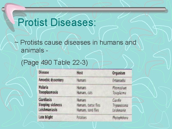 Protist Diseases: ~ Protists cause diseases in humans and animals (Page 490 Table 22