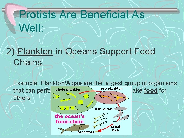 Protists Are Beneficial As Well: 2) Plankton in Oceans Support Food Chains Example: Plankton/Algae