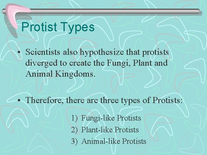 Protist Types • Scientists also hypothesize that protists diverged to create the Fungi, Plant