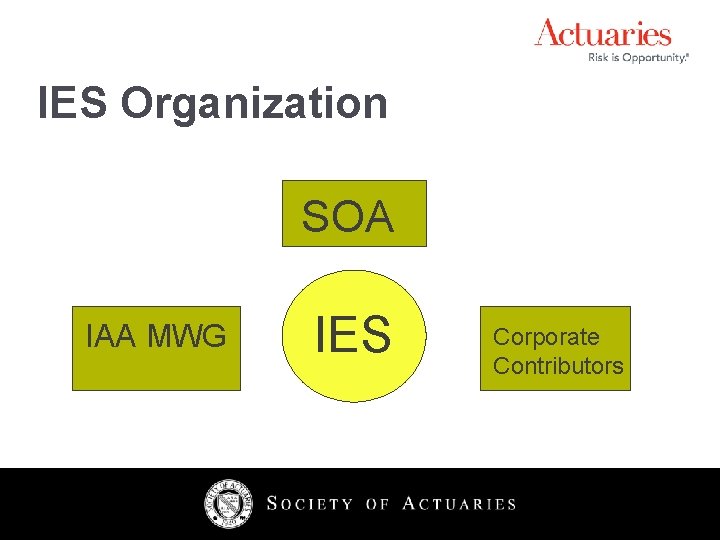 IES Organization SOA IAA MWG IES 4 Corporate Contributors 