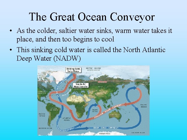 The Great Ocean Conveyor • As the colder, saltier water sinks, warm water takes