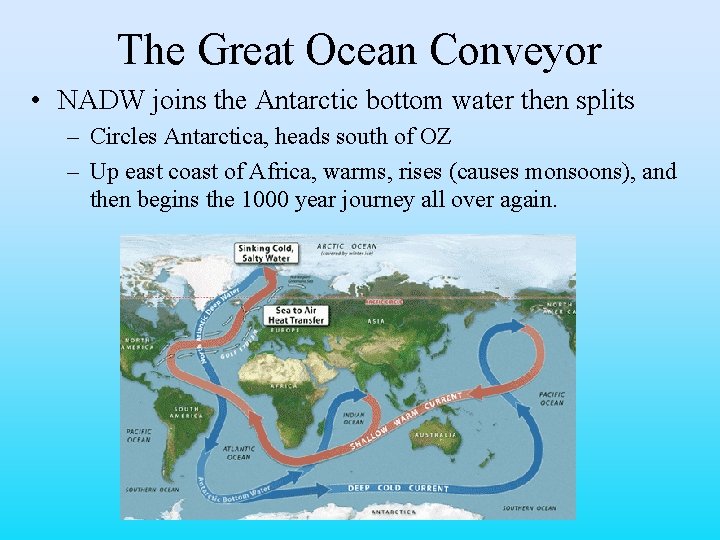 The Great Ocean Conveyor • NADW joins the Antarctic bottom water then splits –