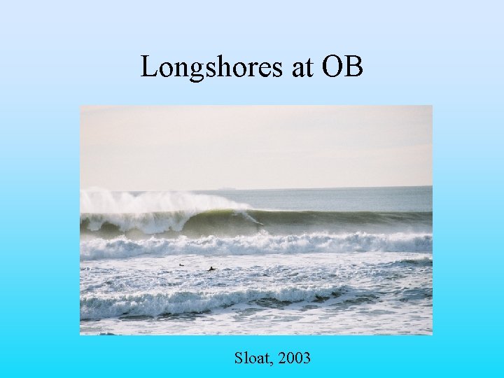 Longshores at OB Sloat, 2003 