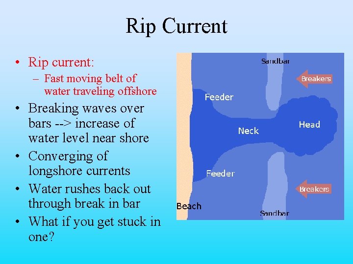 Rip Current • Rip current: – Fast moving belt of water traveling offshore •