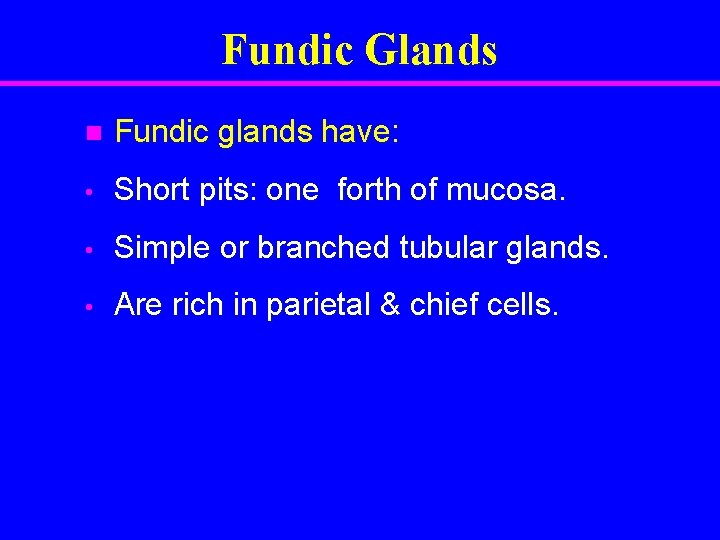 Fundic Glands n Fundic glands have: • Short pits: one forth of mucosa. •