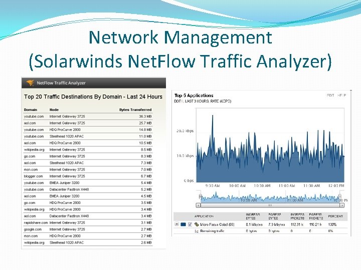 Network Management (Solarwinds Net. Flow Traffic Analyzer) 