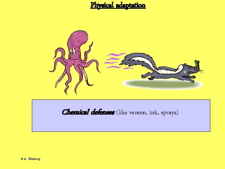 Physical adaptation Chemical defenses (like venom, ink, sprays) © A. Weinberg 