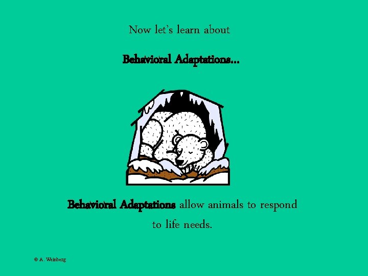 Now let’s learn about Behavioral Adaptations… Behavioral Adaptations allow animals to respond to life