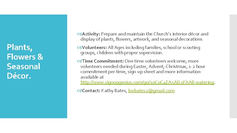 Plants, Flowers & Seasonal Décor. Activity: Prepare and maintain the Church’s interior décor and