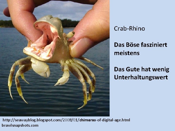 Crab-Rhino Das Böse fasziniert meistens Das Gute hat wenig Unterhaltungswert http: //seawayblogspot. com/2008/01/chimeras-of-digital-age. html