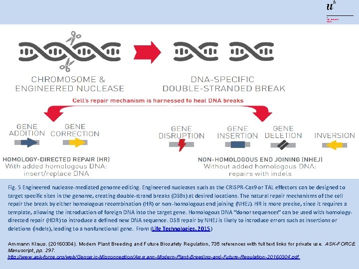Fig. 5 Engineered nuclease-mediated genome editing. Engineered nucleases such as the CRISPR-Cas 9 or