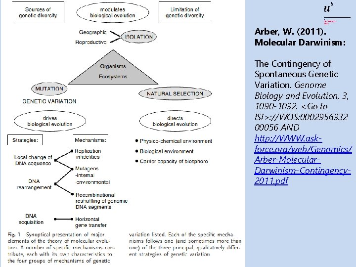 Arber, W. (2011). Molecular Darwinism: The Contingency of Spontaneous Genetic Variation. Genome Biology and