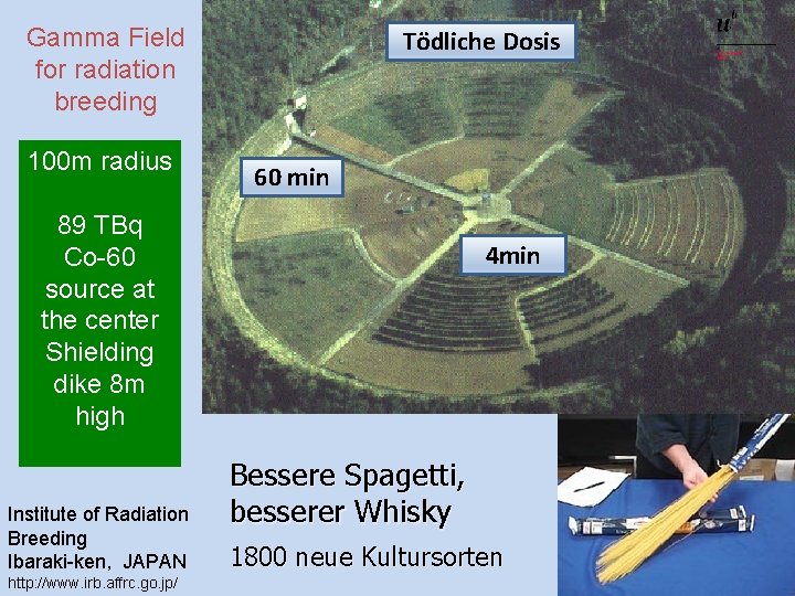 Gamma Field for radiation breeding 100 m radius Tödliche Dosis Radiation breeding as field