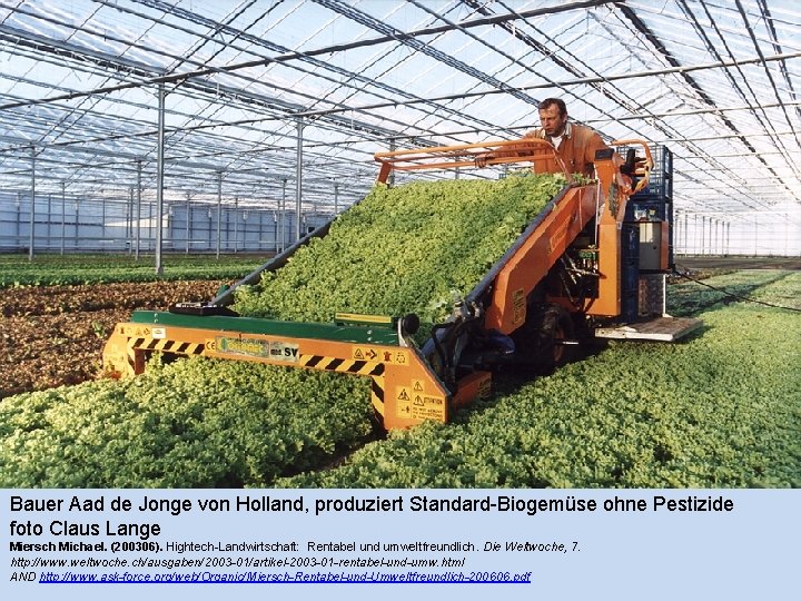 Bauer Aad de Jonge von Holland, produziert Standard-Biogemüse ohne Pestizide foto Claus Lange Miersch