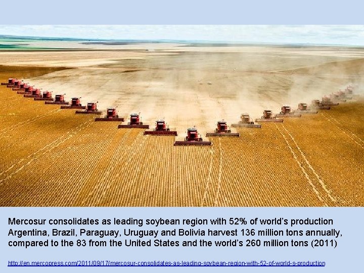 Mercosur consolidates as leading soybean region with 52% of world’s production Argentina, Brazil, Paraguay,
